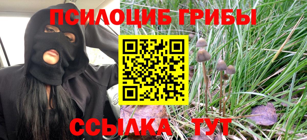 Галлюциногенные грибы Psilocybine cubensis  Псилоцибиновые грибы Psilocybine cubensis  Белебей  Вход с VPN 