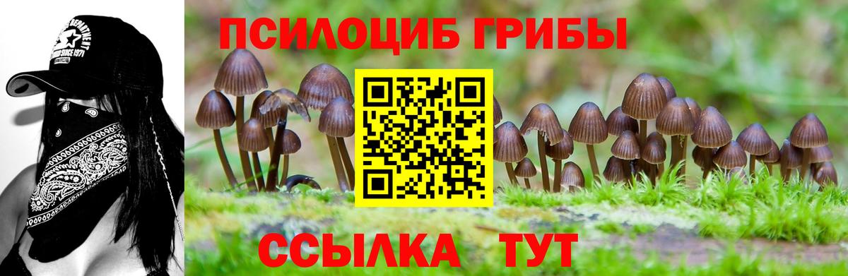 Псилоцибиновые грибы мухоморы Белебей